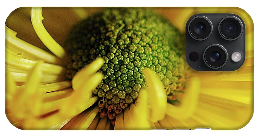 Yellow Spider Mum - Phone Case