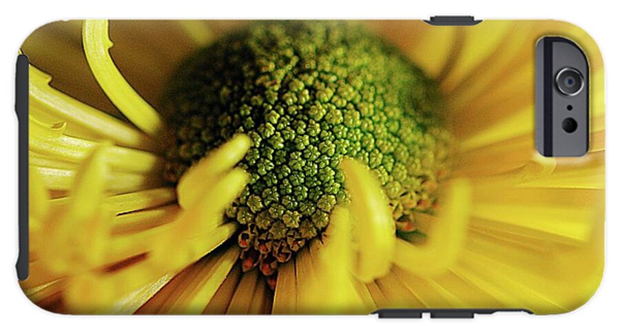 Yellow Spider Mum - Phone Case