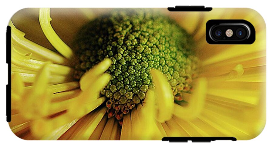 Yellow Spider Mum - Phone Case
