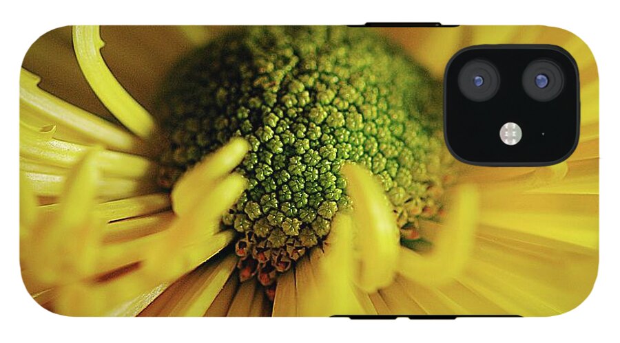 Yellow Spider Mum - Phone Case