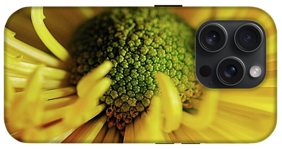 Yellow Spider Mum - Phone Case