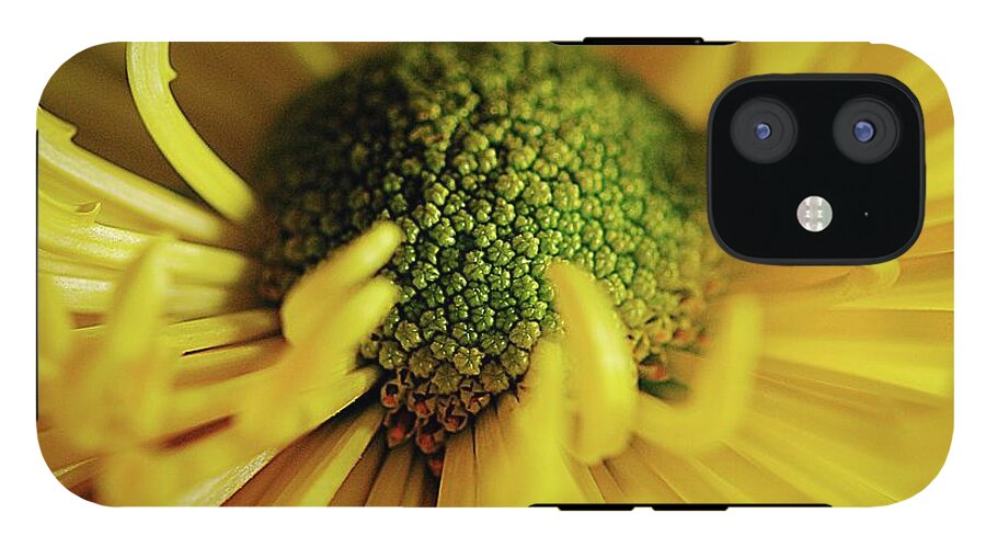 Yellow Spider Mum - Phone Case