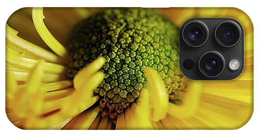 Yellow Spider Mum - Phone Case