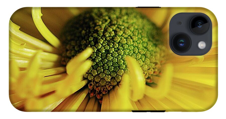 Yellow Spider Mum - Phone Case