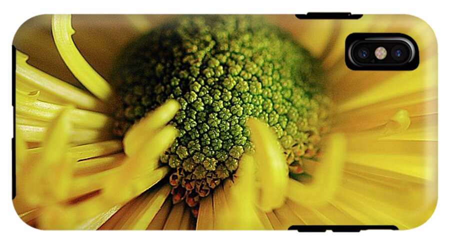 Yellow Spider Mum - Phone Case