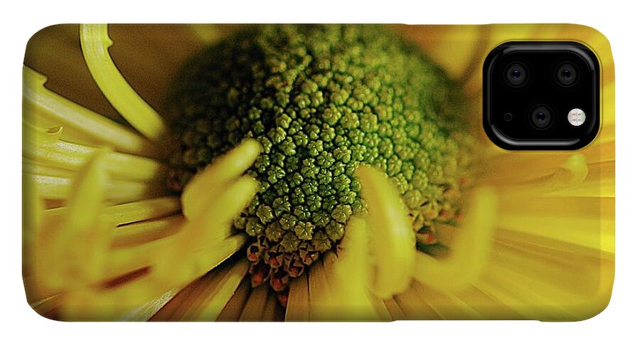 Yellow Spider Mum - Phone Case