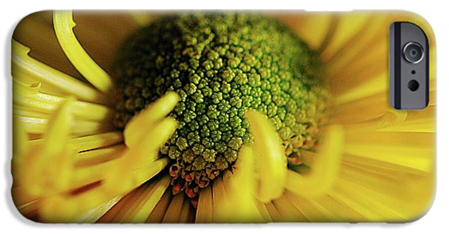 Yellow Spider Mum - Phone Case