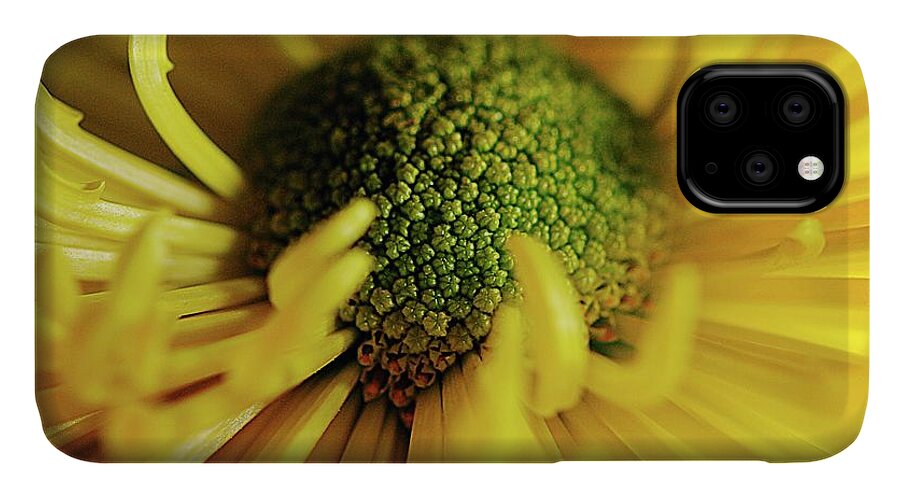 Yellow Spider Mum - Phone Case