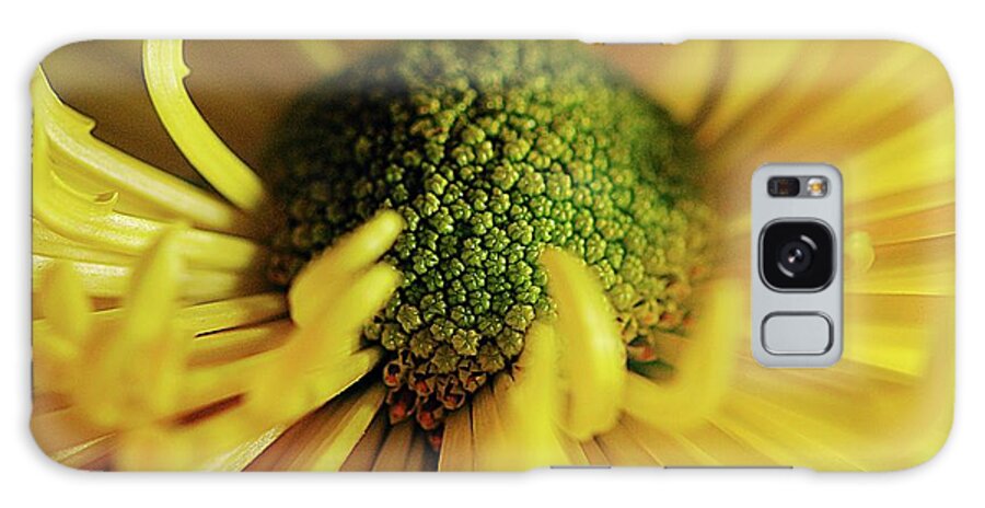 Yellow Spider Mum - Phone Case