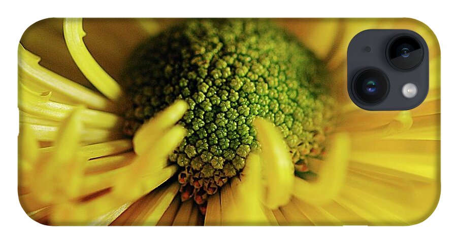 Yellow Spider Mum - Phone Case