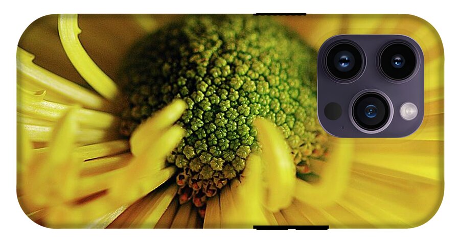 Yellow Spider Mum - Phone Case