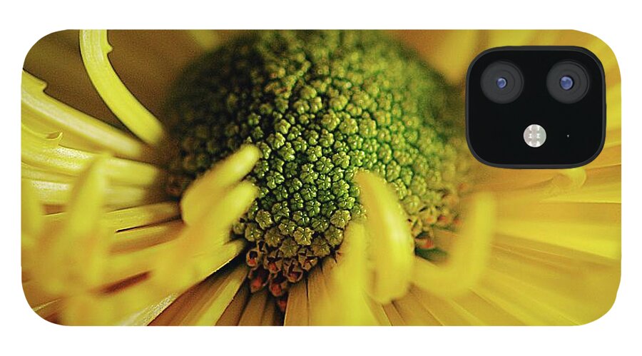Yellow Spider Mum - Phone Case