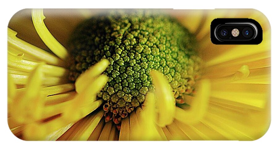 Yellow Spider Mum - Phone Case