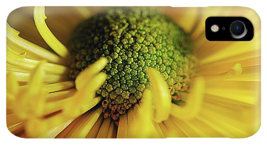 Yellow Spider Mum - Phone Case