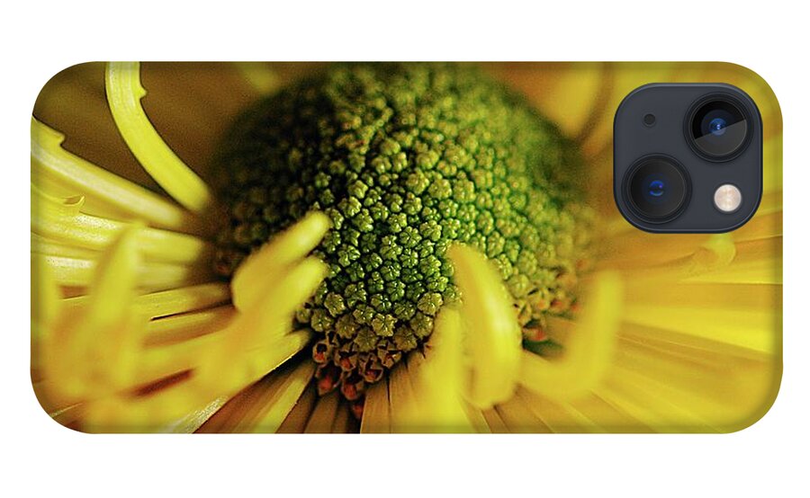 Yellow Spider Mum - Phone Case