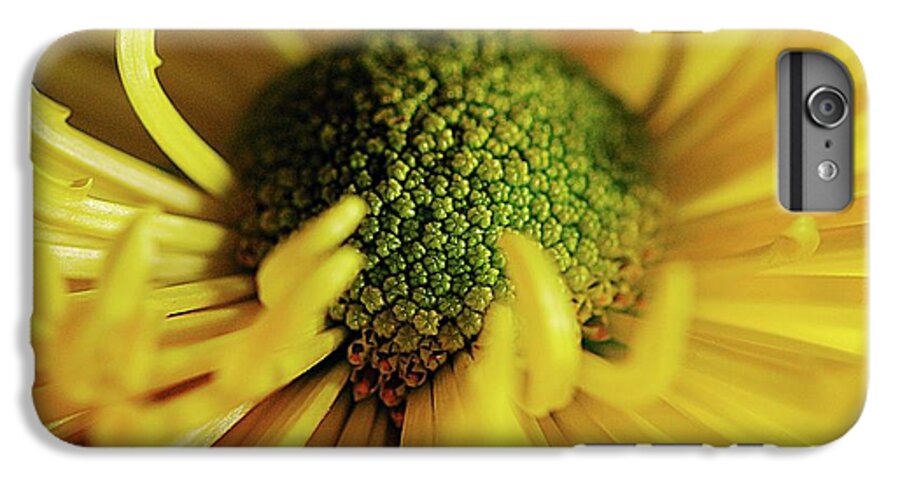 Yellow Spider Mum - Phone Case