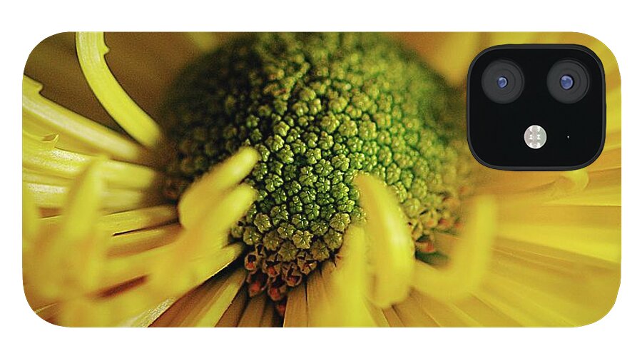 Yellow Spider Mum - Phone Case