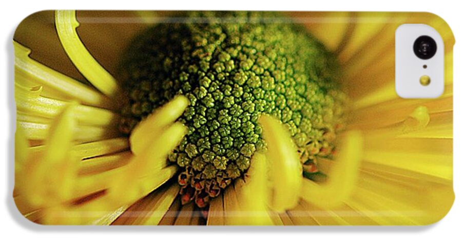 Yellow Spider Mum - Phone Case