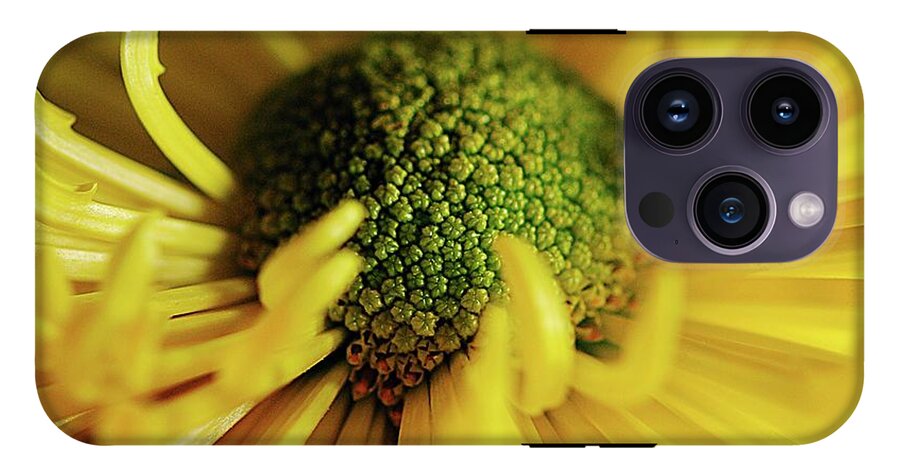 Yellow Spider Mum - Phone Case