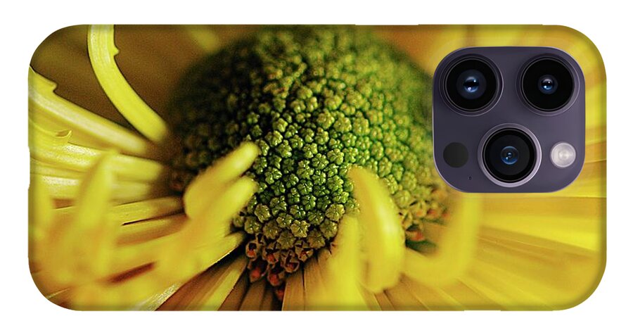 Yellow Spider Mum - Phone Case