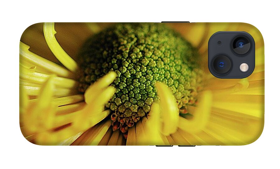 Yellow Spider Mum - Phone Case