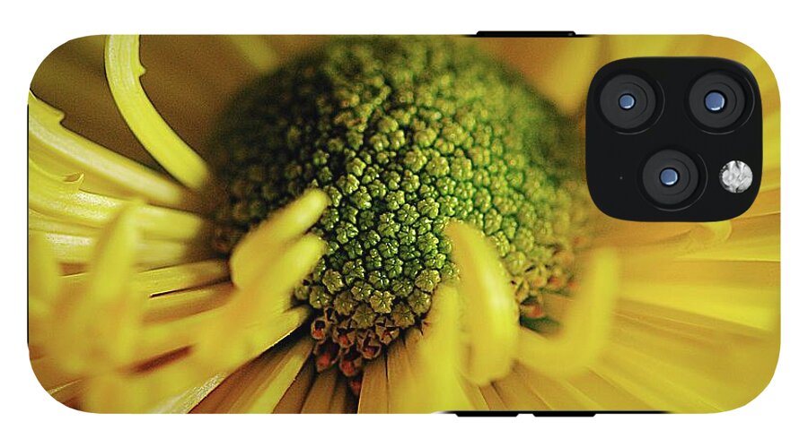 Yellow Spider Mum - Phone Case
