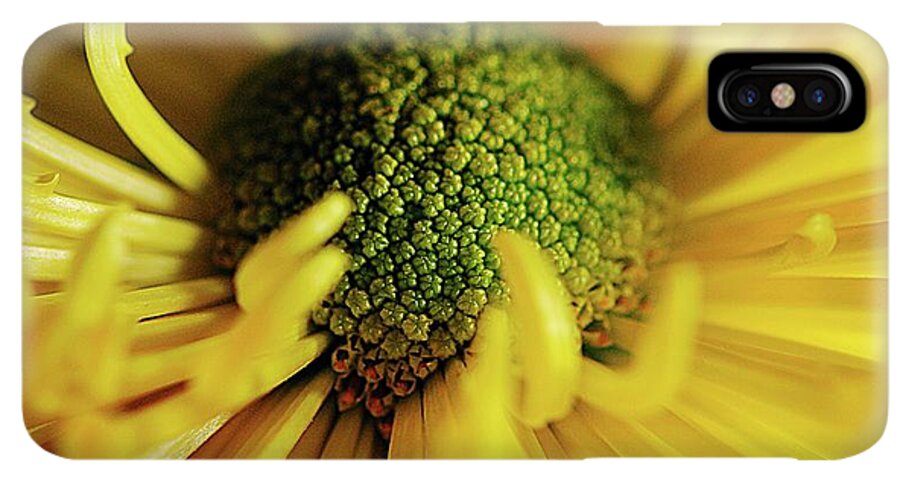 Yellow Spider Mum - Phone Case