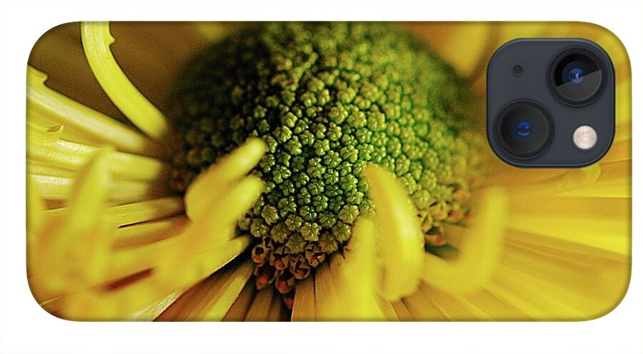 Yellow Spider Mum - Phone Case