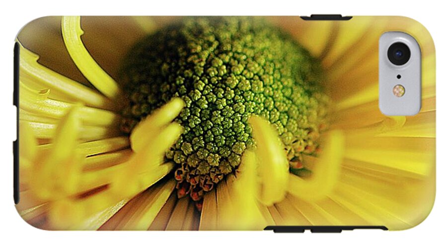 Yellow Spider Mum - Phone Case