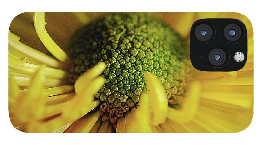 Yellow Spider Mum - Phone Case