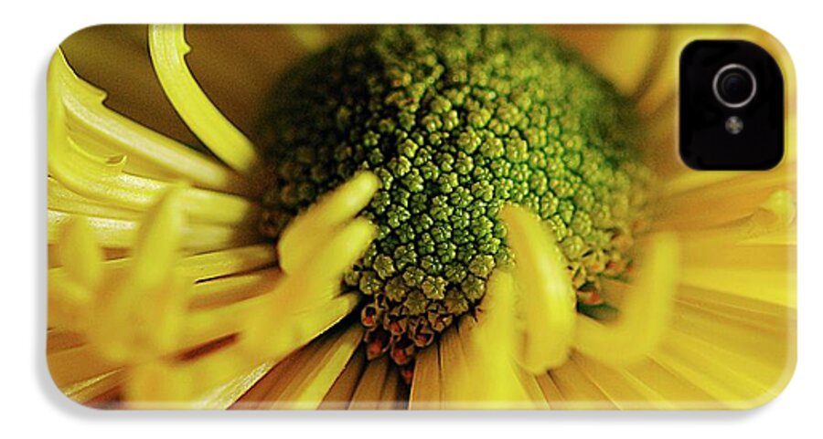 Yellow Spider Mum - Phone Case