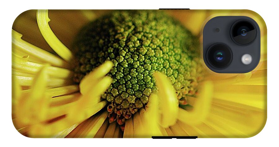 Yellow Spider Mum - Phone Case