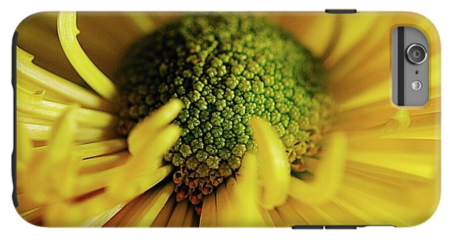 Yellow Spider Mum - Phone Case