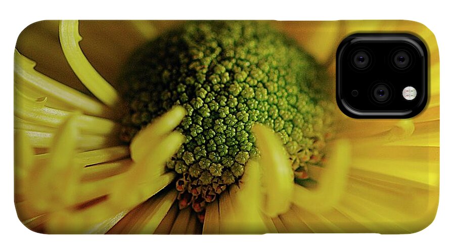 Yellow Spider Mum - Phone Case