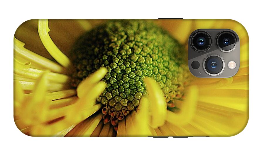 Yellow Spider Mum - Phone Case
