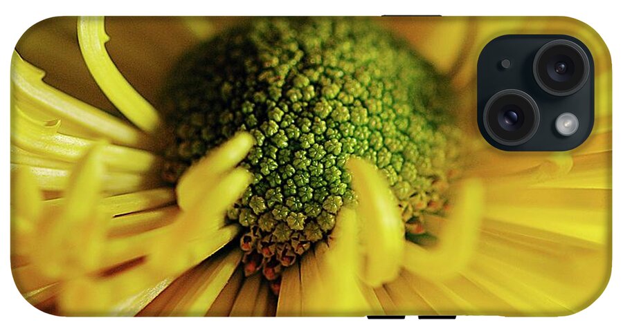 Yellow Spider Mum - Phone Case