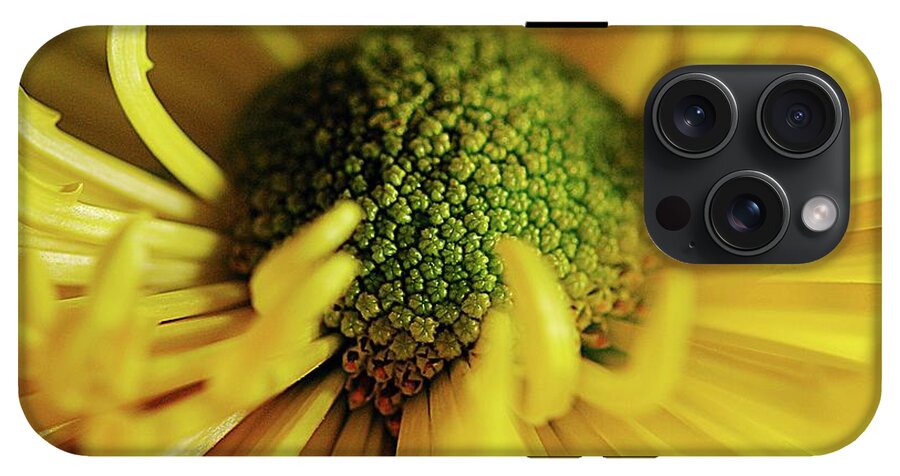 Yellow Spider Mum - Phone Case