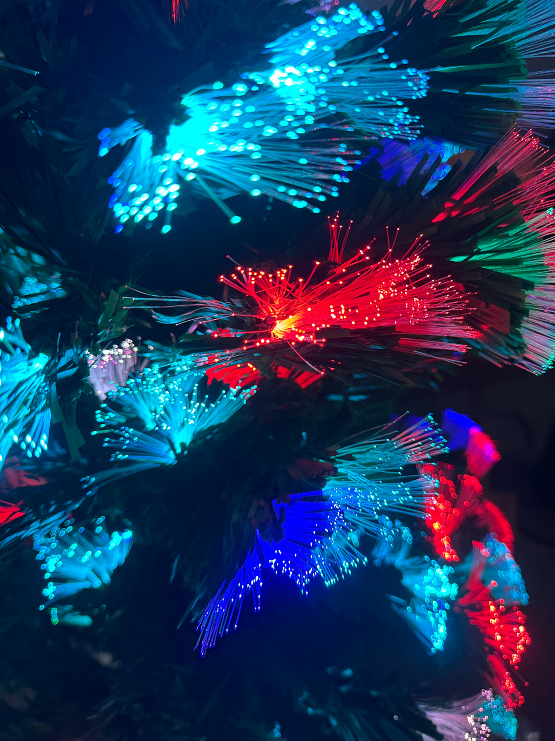 Happy Holidays!  What Am I working On This winter?