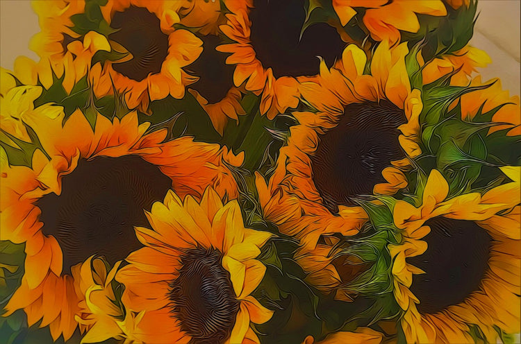 Sunflowers
