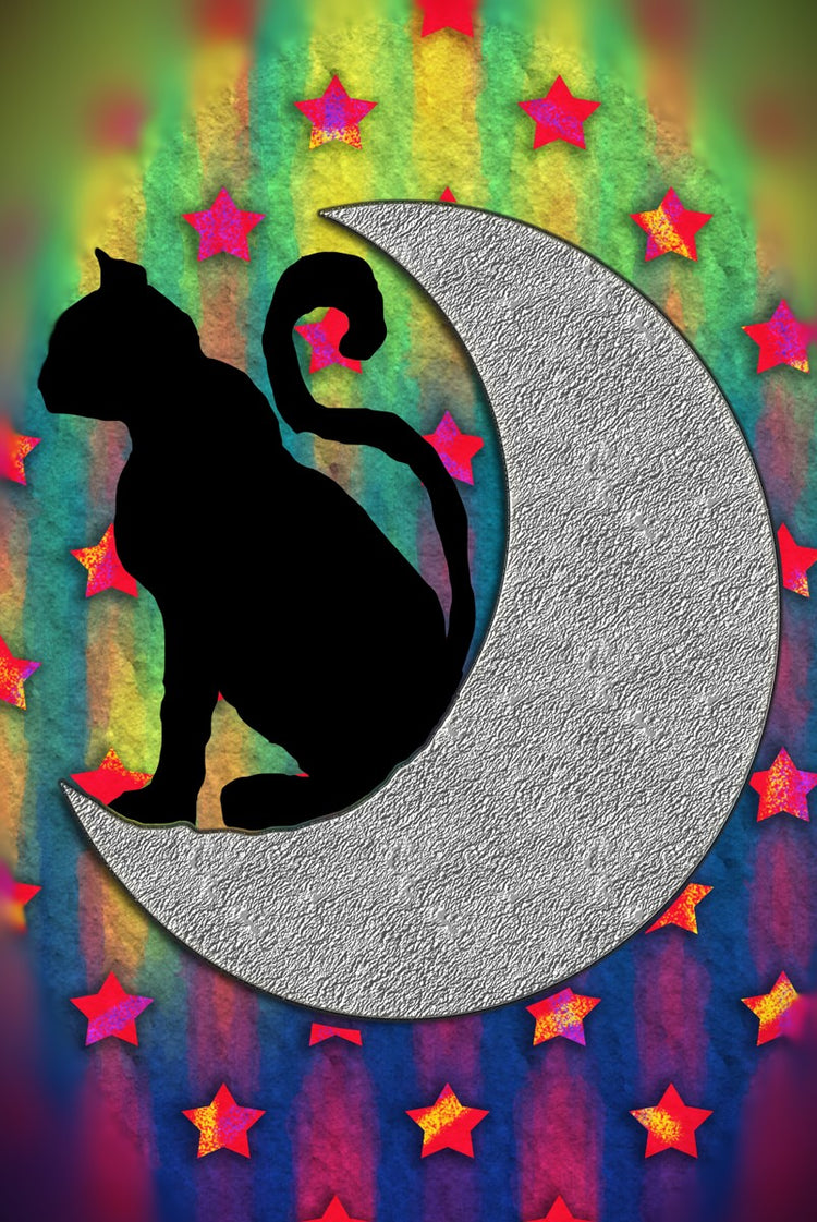 Cat On A Moon