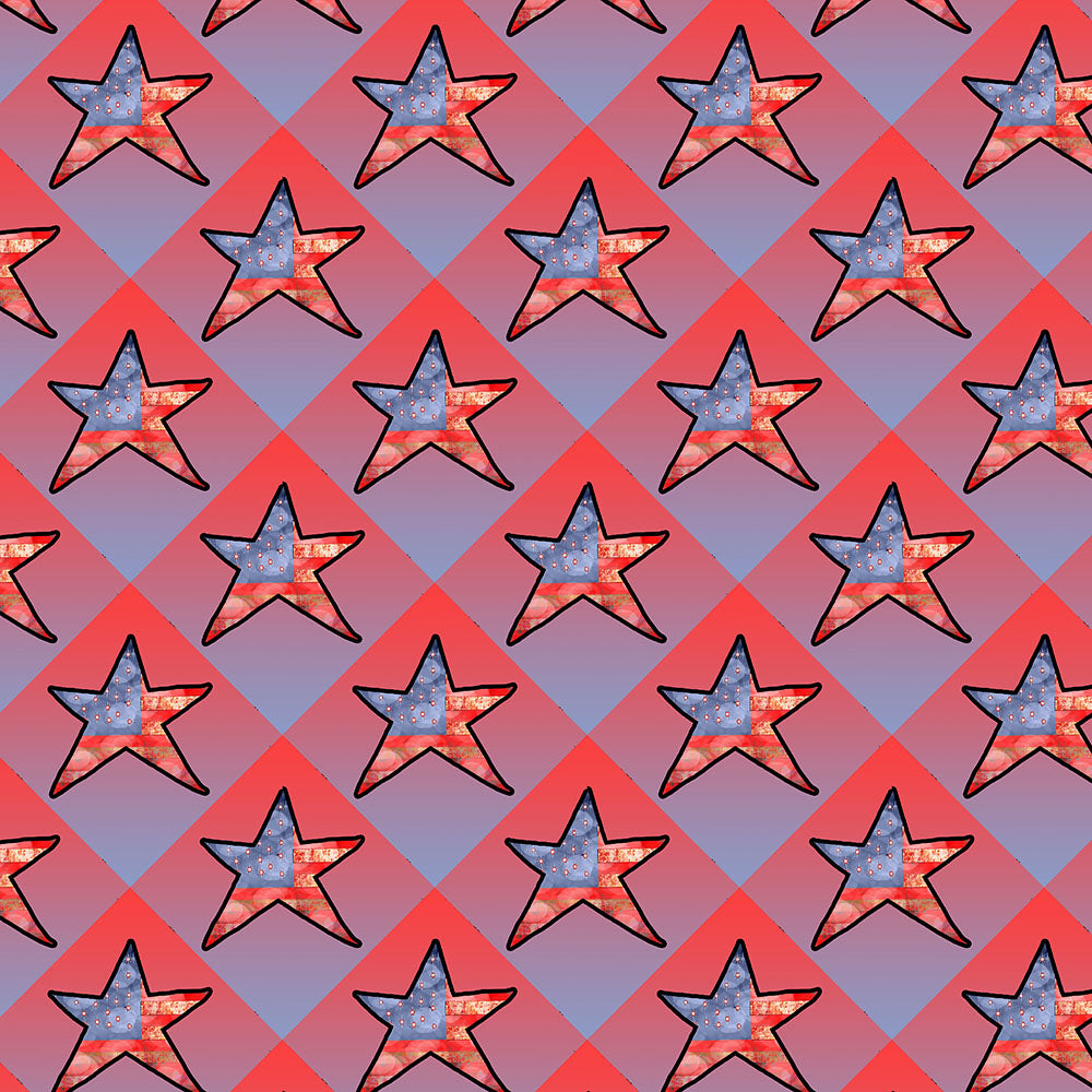 American Flag Star
