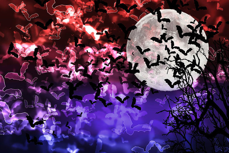Bokeh Light Bats