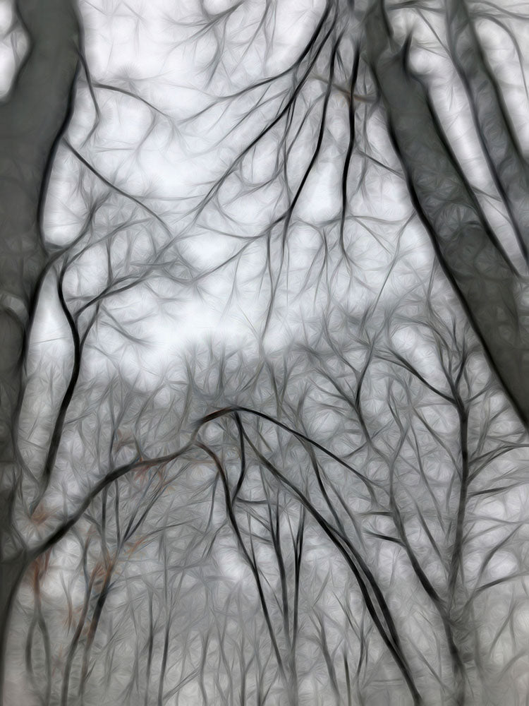 Calm Winter