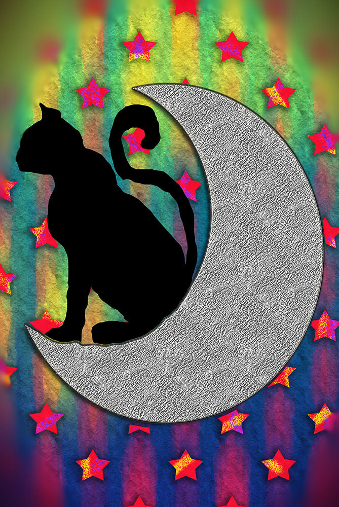 Cat 0n A Moon
