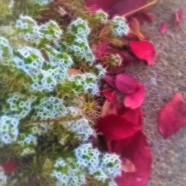 Fall Sidewalk Kenosha