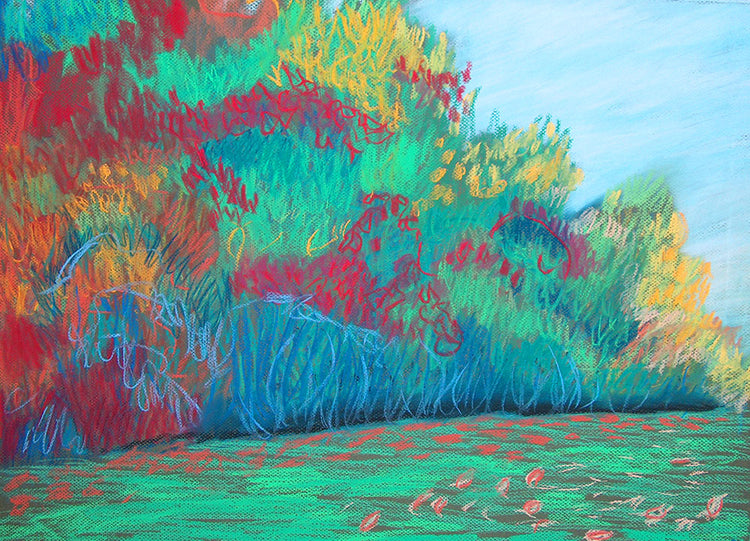 The Hedge