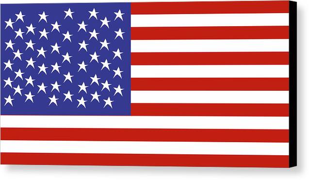 American Flag 1 - Canvas Print