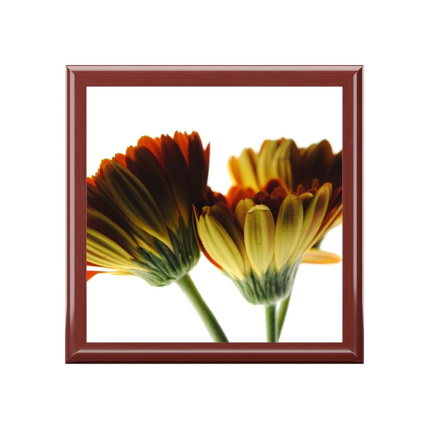 Daisy Undersides Jewelry Box