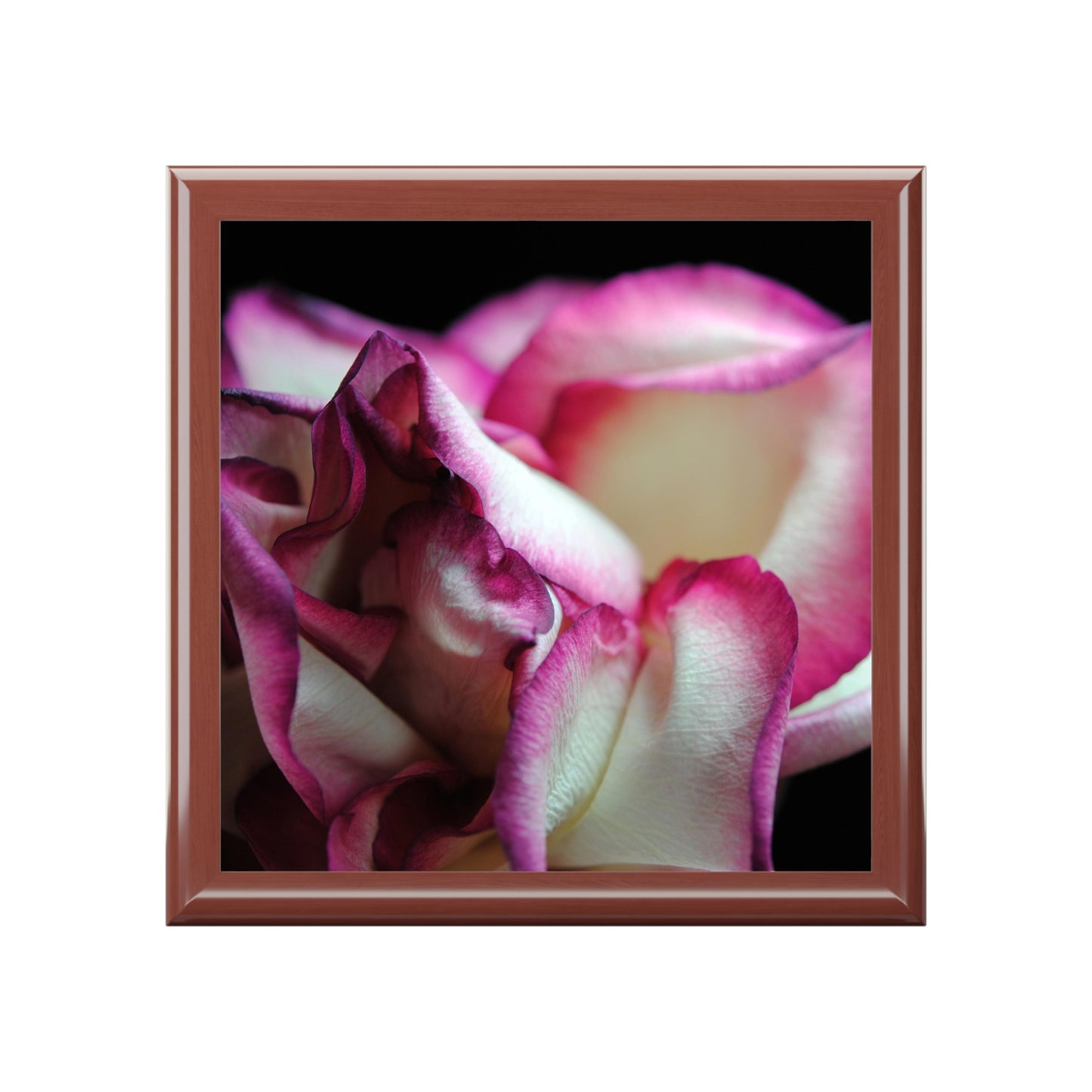 Pink Lined White Rose Jewelry Box