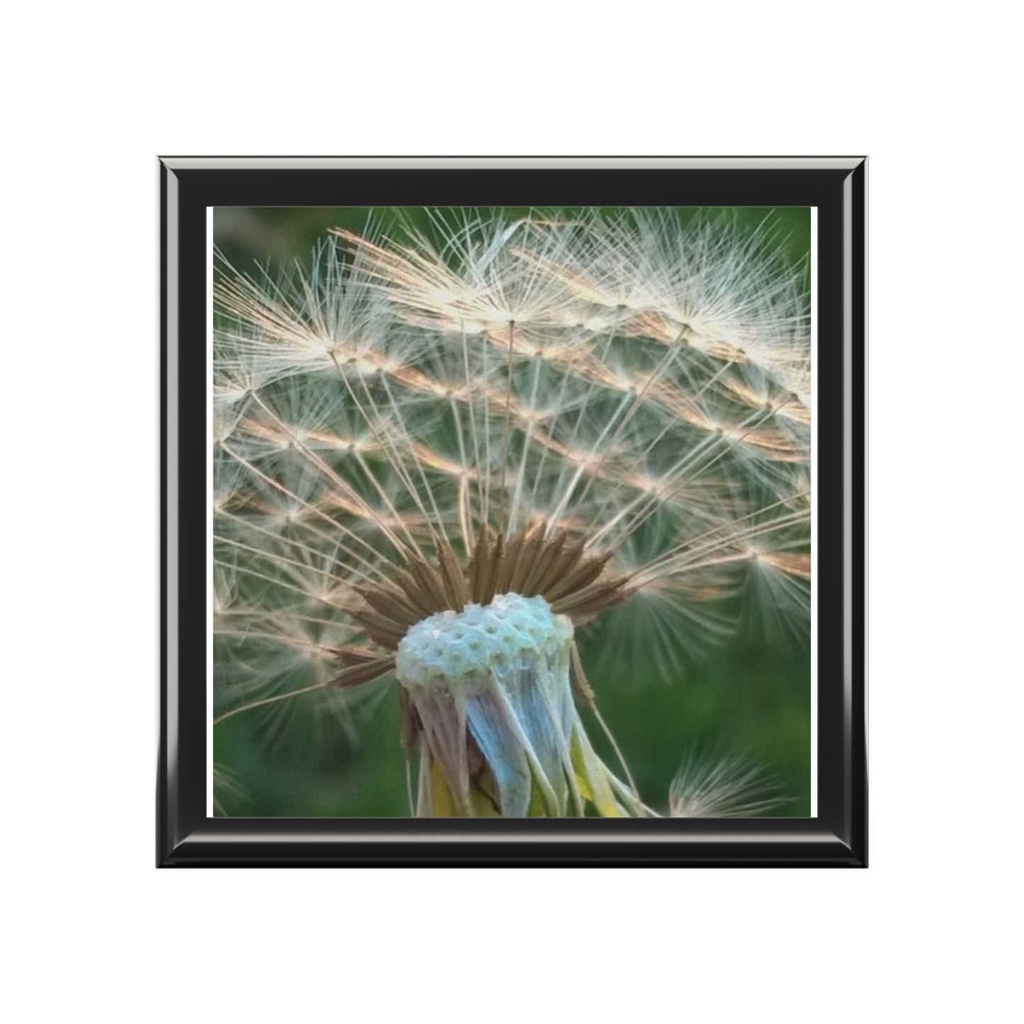 Dandelion Wish Jewelry Box